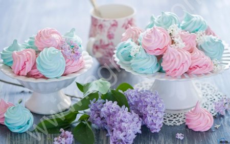 Машина зефироотсадочная МО ЗФ-250