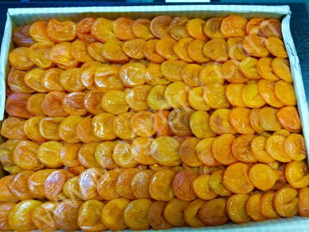 Курага оптом