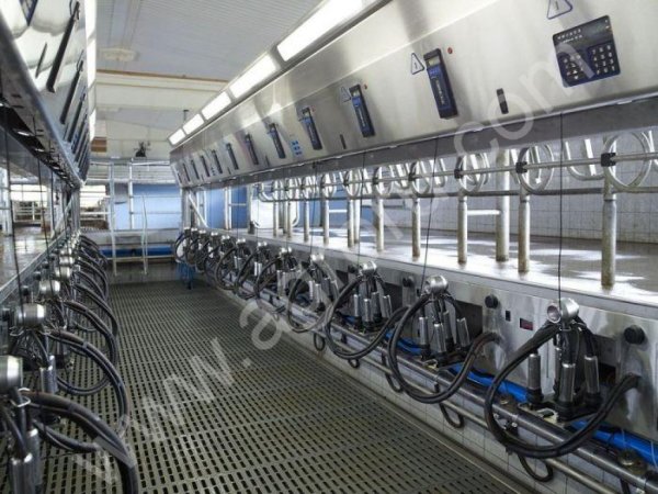 Проектирование с/х объектов, конно-спортивных сооружений, животноводство, птицеводство