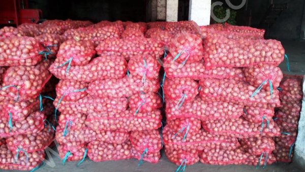 Картофель продовольственный оптом