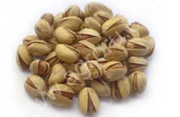 Фисташки премиум качества оптом