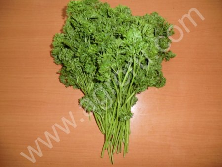 Укроп, петрушка, лук зеленый, кинза, базилик, сельдерей, салат листовой, петрушка кудрявая