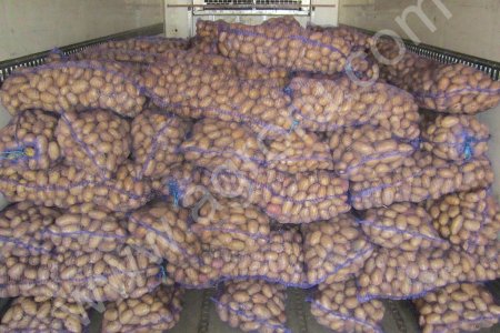 Картофель оптом 5+ от производителя!