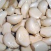 Машина для очистки зубчиков чеснока Vega Garlic Peeler H100