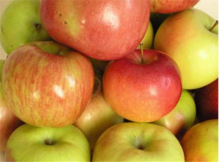 Не впустили овощи