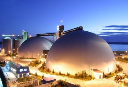 В Нибулоне недовольны условиями экспорта зерна