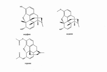 Производитель из Ephedra отправляется за решетку