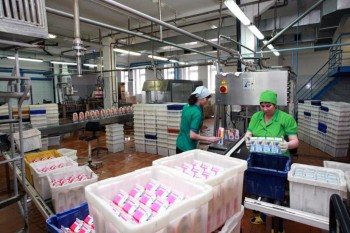 Грузстат: Производство молока увеличилось, а яиц – сократилось