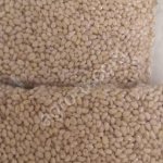 Кедровый орех