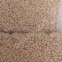 Кедровый орех