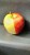 Яблоки, сорта лигол , алеся , хани - крисп , глостер