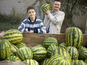 Про арбузы  и их полезные свойства