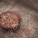 Лен коричневый от производителя.