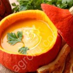 Тыква порционная оптом