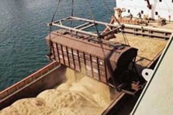 Россия рассчитывает на поставки зерна на рынок Таиланда