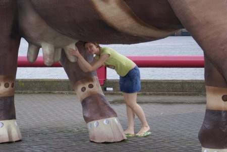 В Нижнем Ингаше запустили молокозавод