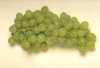 Применение сернистой кислоты