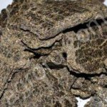 Жмых подсолнечный, рапсовый