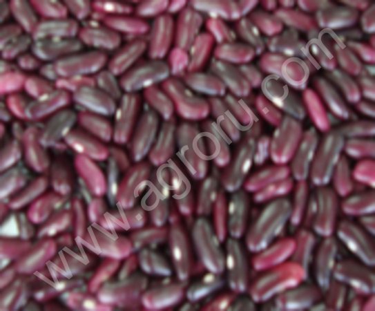 В Приморье в 2006 году производство яиц упало на 13%, молока возросло на 1%