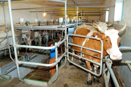 Башкортостан подвел итоги