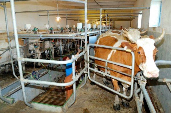 Башкортостан подвел итоги