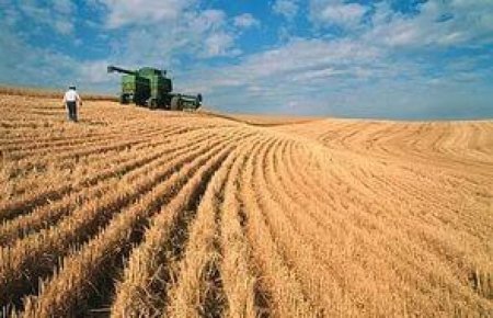 Объединенная зерновая компания заработала на экспорте