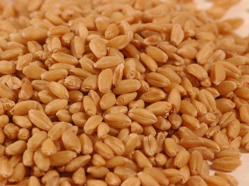 Новый год на мировых рынках стартует с высоких котировок пшеницы, кукурузы и сои