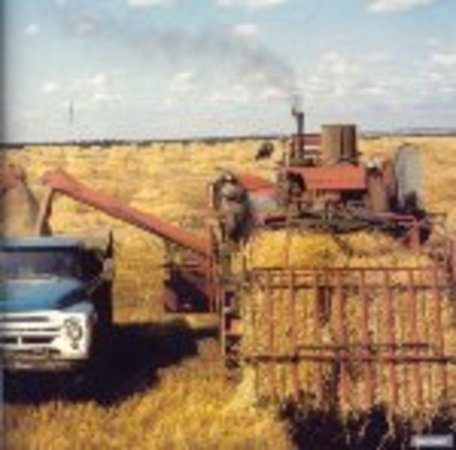 Беларусь планирует собрать около 7 млн тонн зерна