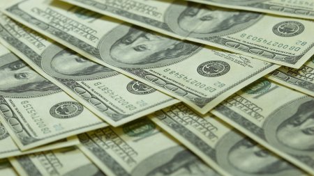 Ущерб зерновой индустрии от засухи составил 36,5 млрд рублей