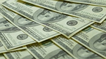 Ущерб зерновой индустрии от засухи составил 36,5 млрд рублей