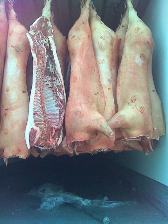 Ростовская область: забили свиней, перепутав отравление с АЧС