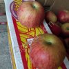Яблоки Айдаред крупные-средние
