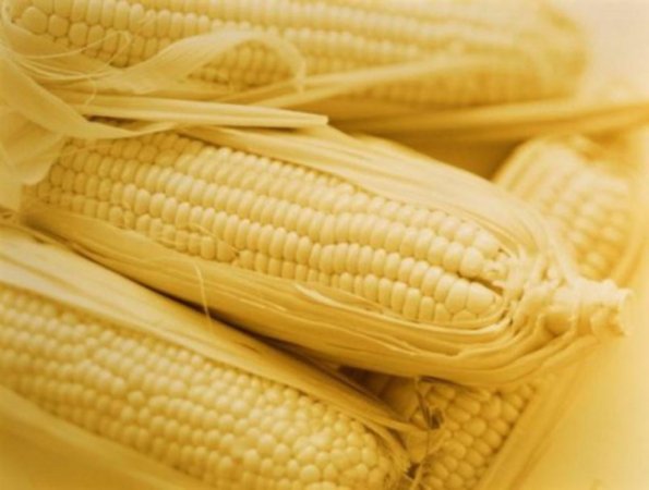 Экспорт кукурузы из Украины в 2011/12 МГ может составить 14 млн. тонн