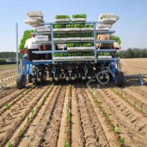 Рассадопосадочные машины Hortech