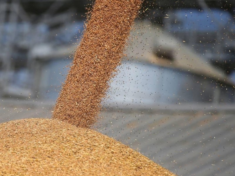 Пошлина как препятствие  - Краткий обзор зернового рынка