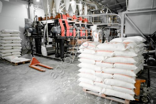 Мука пшеничная (высший, первый, второй сорт) оптом из России / Wheat Flour (Premium, First Second