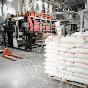 Мука пшеничная (высший, первый, второй сорт) оптом из России / Wheat Flour (Premium, First Second