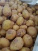 Картофель, некондиционный