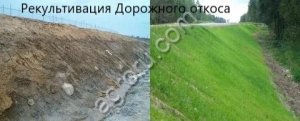 Рекультивация земель
