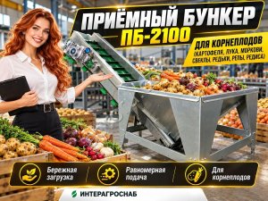 Приёмный бункер ПБ-2100 для корнеплодов (картофеля, лука, моркови, свеклы, редьки, репы, редиса)