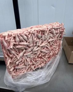 Лапы кур (павсы) ЭКСПОРТ