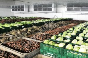 Холодильные Камеры для Овощей и Фруктов в Крыму с Установкой и Гарантией.Строительсво Овощехранилищ.