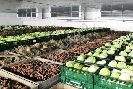 Холодильные Камеры для Овощей и Фруктов в Крыму с Установкой и Гарантией.Строительсво Овощехранилищ.