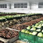 Холодильные Камеры для Овощей и Фруктов в Крыму с Установкой и Гарантией.Строительсво Овощехранилищ.