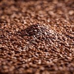 Лен масличный