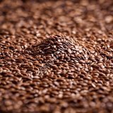 Лен масличный