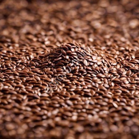 Лен масличный