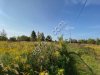 земельный участок 100 соток ЛПХ Суворовский р-н, вблизи Курорта Краинка Тульcкой обл.