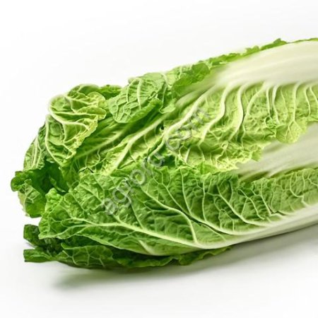 Капуста Пекинская