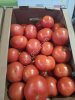 Помидоры Розовые